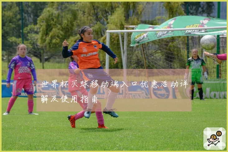 世界杯买球移动端入口优惠活动详解及使用指南