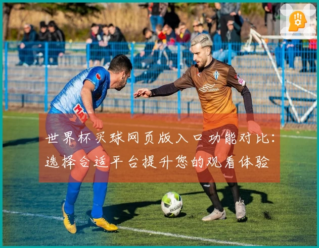 世界杯买球网页版入口功能对比：选择合适平台提升您的观看体验