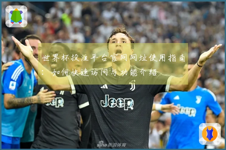 世界杯投注平台官网网址使用指南：如何快速访问与功能介绍