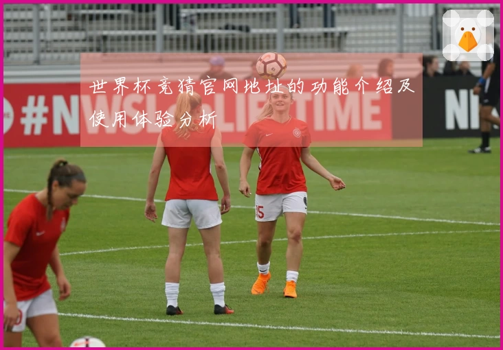 世界杯竞猜官网地址的功能介绍及使用体验分析